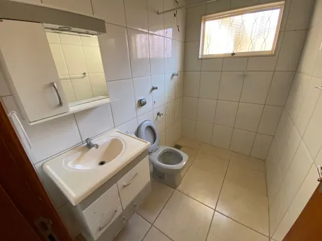 Edícula com 1 dormitório disponivel para locação na Anitta Venturi em Mococa-SP